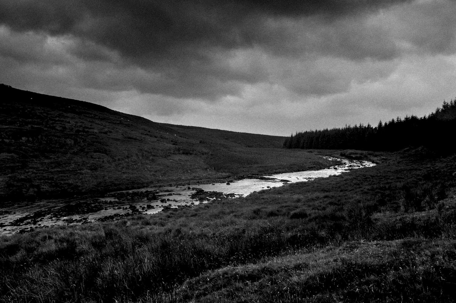 KONICA MINOLTA DIGITAL CAMERA