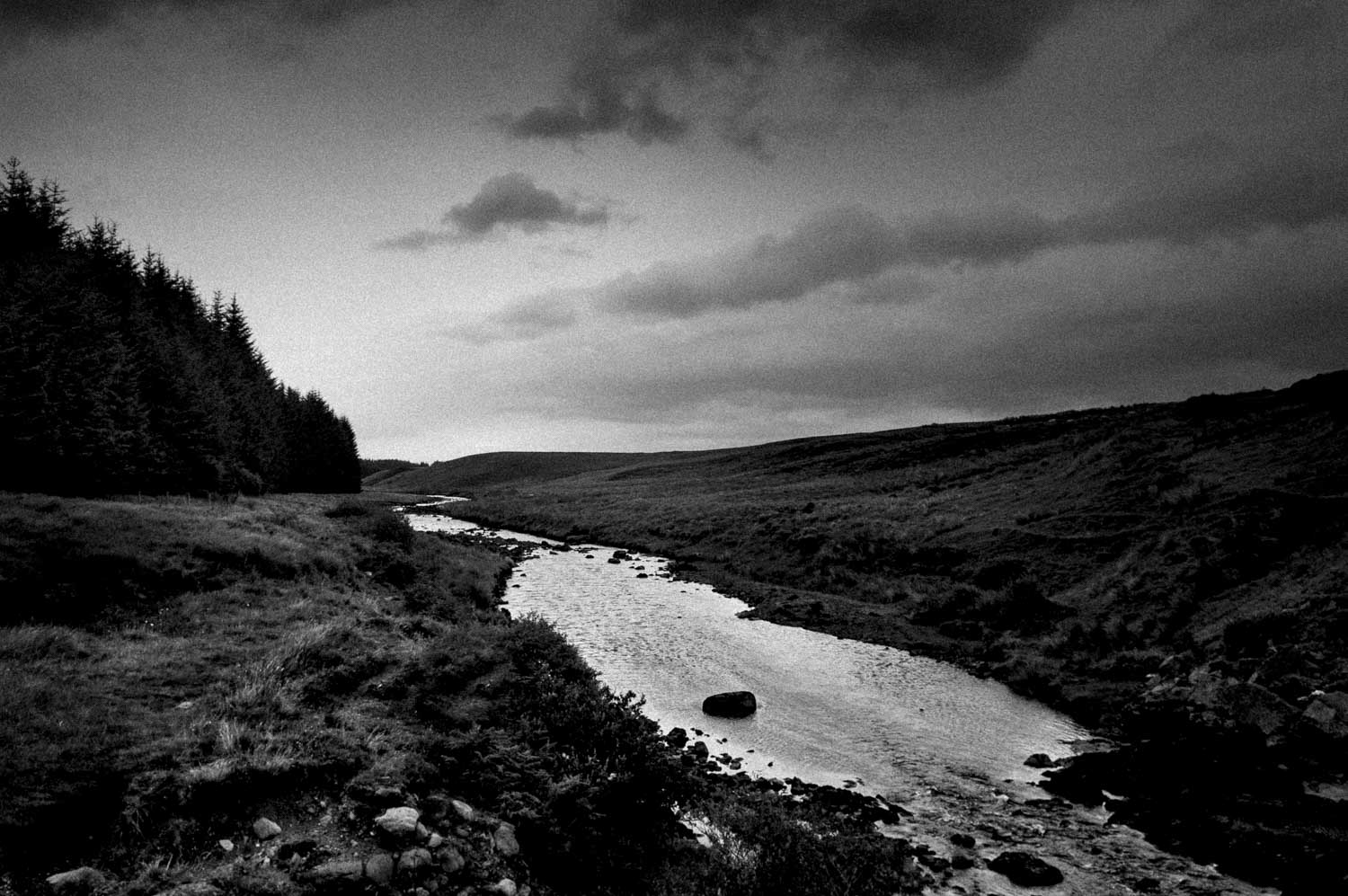 KONICA MINOLTA DIGITAL CAMERA